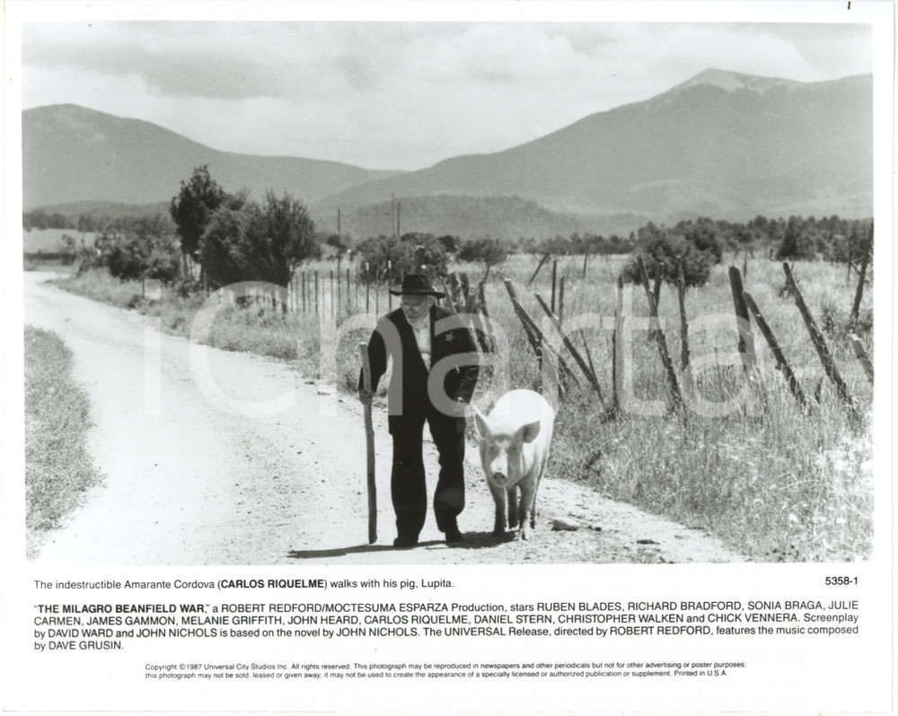 1988 CINEMA "The Milagro Beanfield War" Carlos RIQUELME as Amarante Cordova 2 Fotografia di agenzia.CONDIZIONI: G FORMATO: 25x20 cm     originale e autentica 1