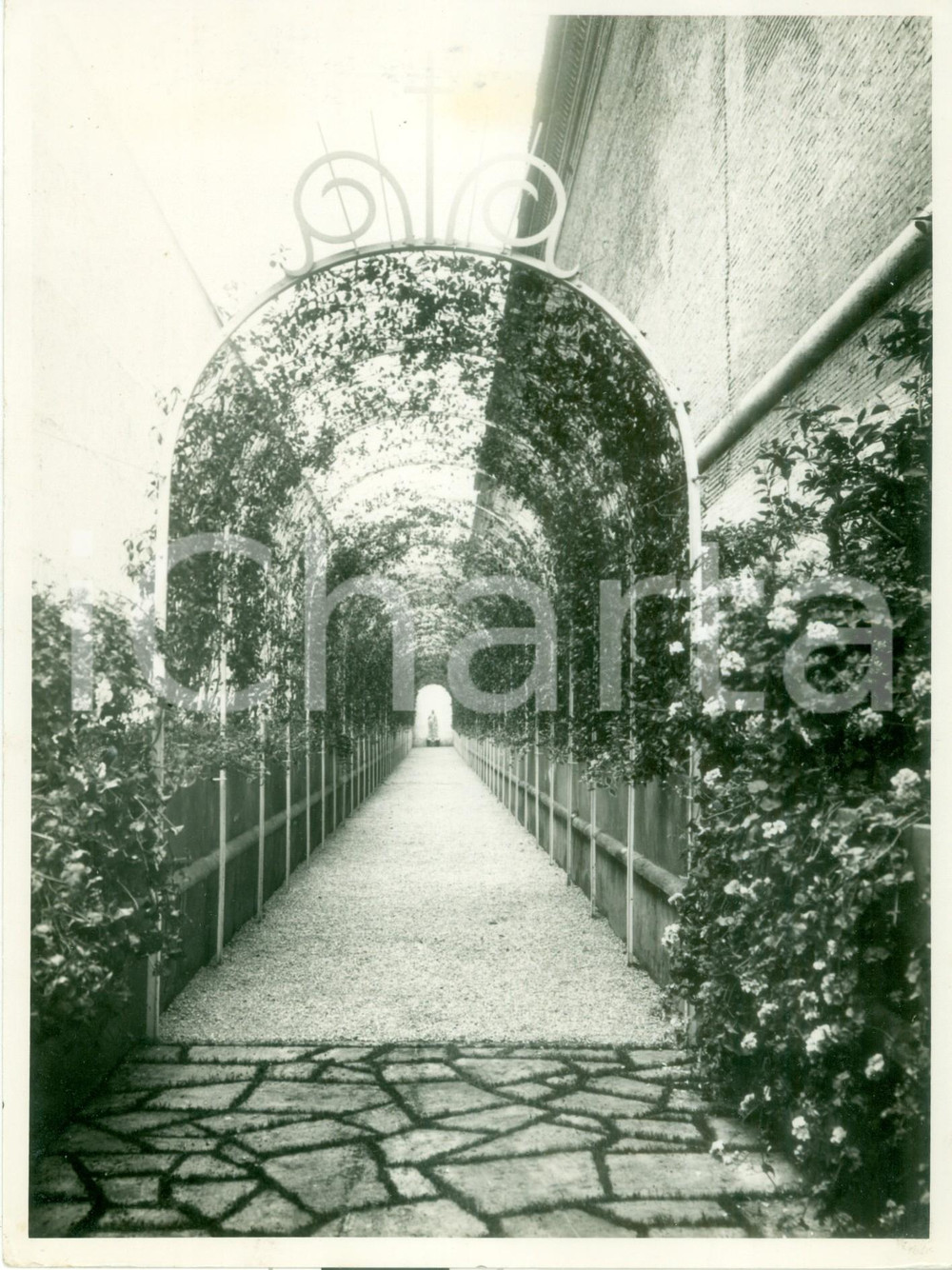 Fotografia d epoca originale 1936 VATICANO Esposizione Stampa Cattolica  Viale fra le mura di GIULIO II 1