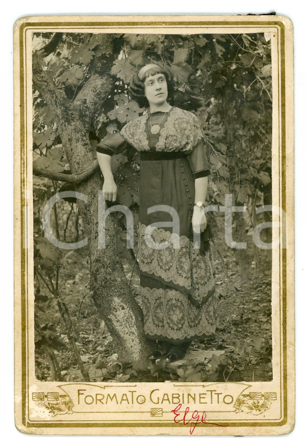 Fotografia d epoca originale 1900 ca ITALIA Ritratto di Elga  Donna in un bosco  Foto Formato Gabinetto 1