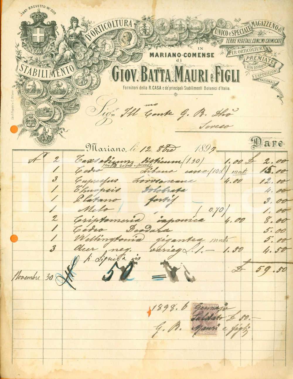 Documento originale, autentico 1897 MARIANO COMENSE Giovanni Battista MAURI & Figli botanici Real Casa Fattura 1