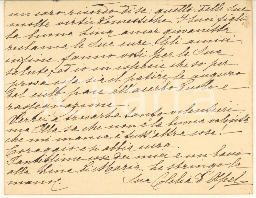 Autografo originale 1890 ca BOLOGNA Clelia SALMI D APEL  Biglietto condoglianze AUTOGRAFO 1