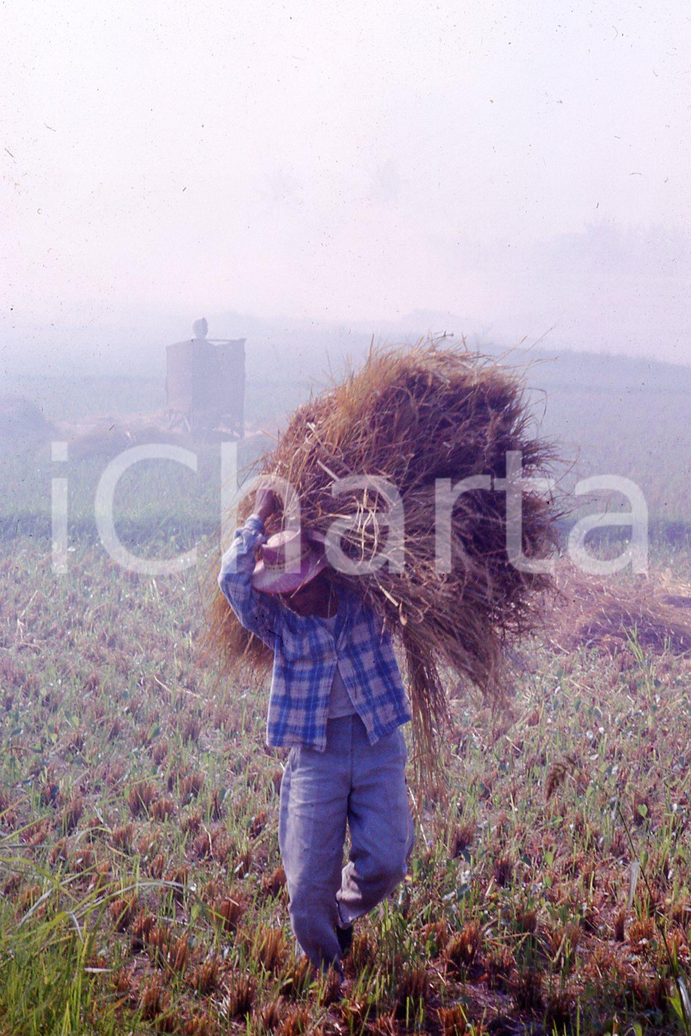 MAY 1963 Life in China - rice crops *35mm vintage slide 3 Diapositiva originale, in formato 35 mm.Per i diritti rivolgersi a ICharta.ICharta mette in vendita, sul negozio eBay e in esclusiva sul sito "icharta" il proprio archivio composto da numerose diapositive e negativi fotografici d'epoca, tutti originali e autentici.Si tratta di uno sguardo inedito sull'attualità, la politica, la vita quotidiana, il gossip e la cultura, che fotografa il cambiamento della nazione (e non solo) tra il 1890 ed il 1990 circa. Un'occasione unica per il mercato del collezionismo, che vede finalmente disponibile un archivio eccezionale per vastità, tematiche e condizioni, in un settore (il negativo fotografico e la diapositiva) di assoluta novità e dalle interessanti prospettive di investimento. CONDIZIONI:FAIR/discretoFORMATO: 35mm originale e autentica 1
