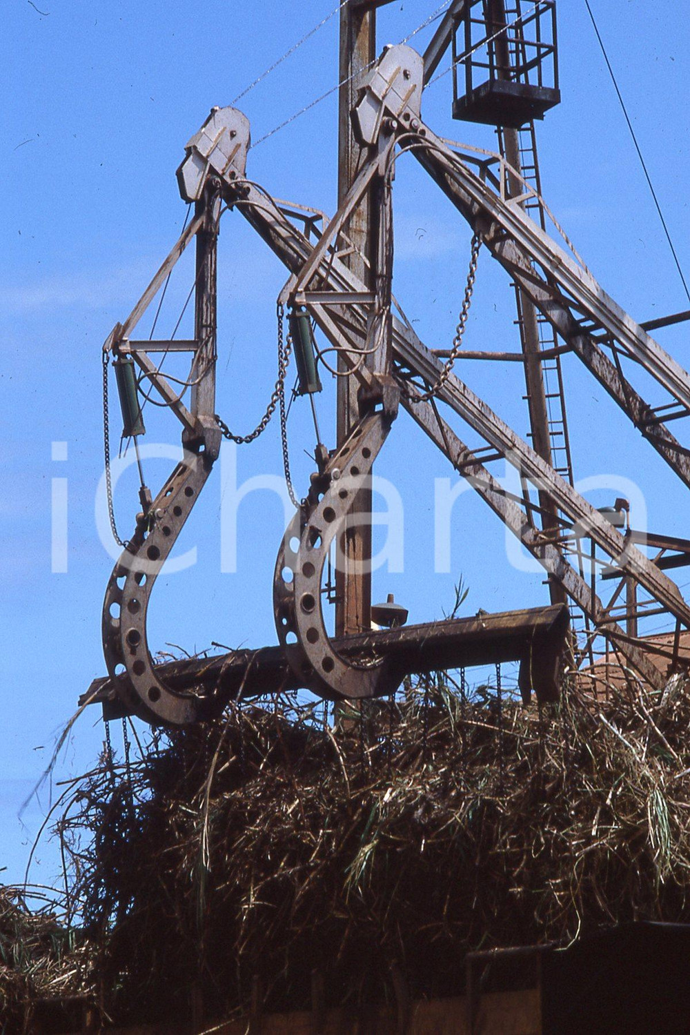 1985 LEE BALTERMAN  Kawai Hawaii Sugar cane *VINTAGE SLIDE Diapositiva originale, in formato 35 mm.Per i diritti rivolgersi a ICharta.ICharta mette in vendita, sul negozio eBay e in esclusiva sul sito "icharta" il proprio archivio composto da numerose diapositive e negativi fotografici d'epoca, tutti originali e autentici.Si tratta di uno sguardo inedito sull'attualità, la politica, la vita quotidiana, il gossip e la cultura, che fotografa il cambiamento della nazione (e non solo) tra il 1890 ed il 1990 circa. Un'occasione unica per il mercato del collezionismo, che vede finalmente disponibile un archivio eccezionale per vastità, tematiche e condizioni, in un settore (il negativo fotografico e la diapositiva) di assoluta novità e dalle interessanti prospettive di investimento. CONDIZIONI:FAIR/discretoFORMATO: 35mm originale e autentica 1