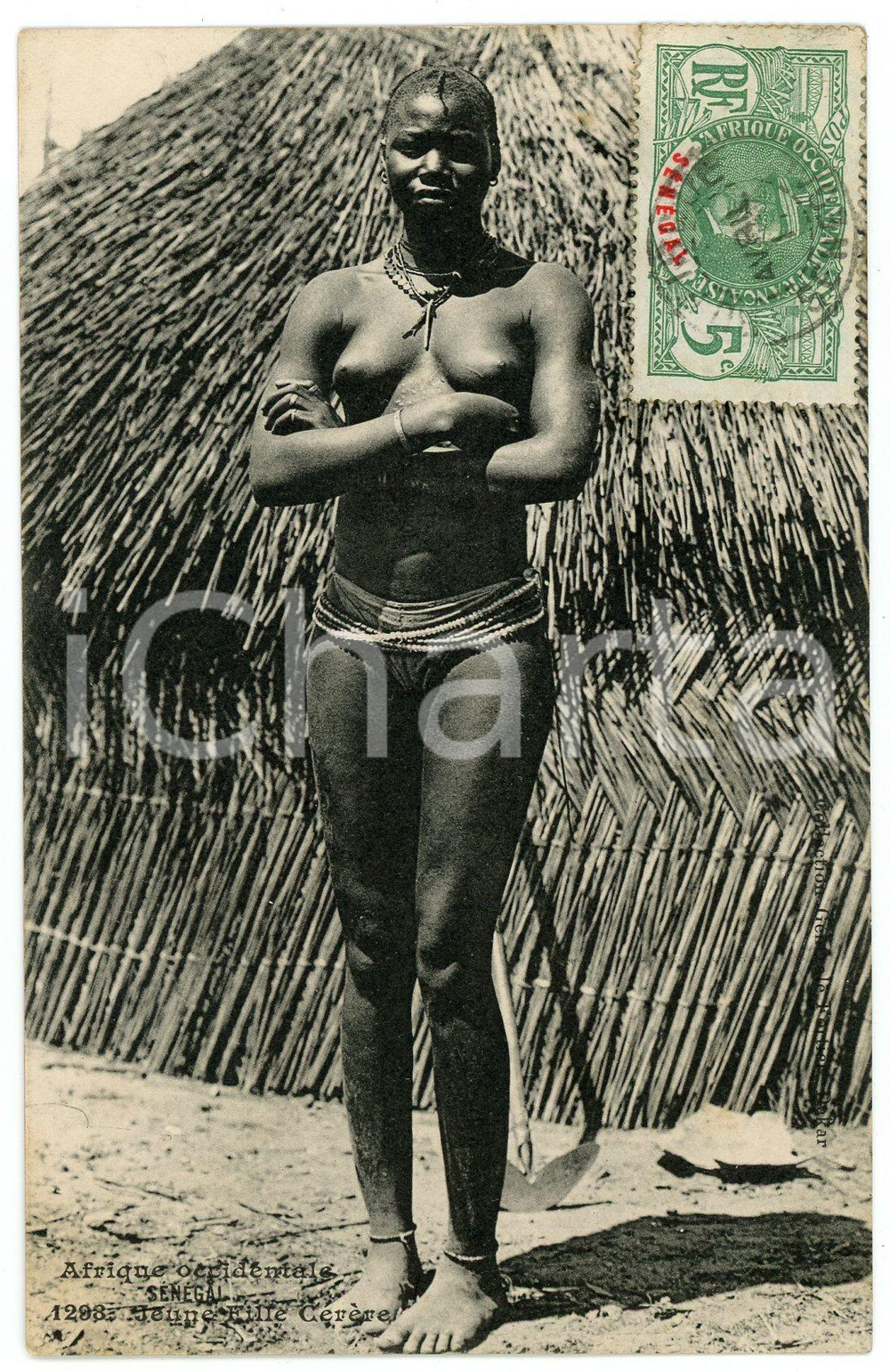 1920 ca AOF - SENEGAL Jeune fille Cérère NU ETHNIQUE Carte postale FP VG Cartolina d'epoca, non viaggiata.EDITORE: Editeurs L. & L. CONDIZIONI:FAIR/discreto Smussature agli angoli, aloni al versoFORMATO: 9x14 cm originale e autentica 1