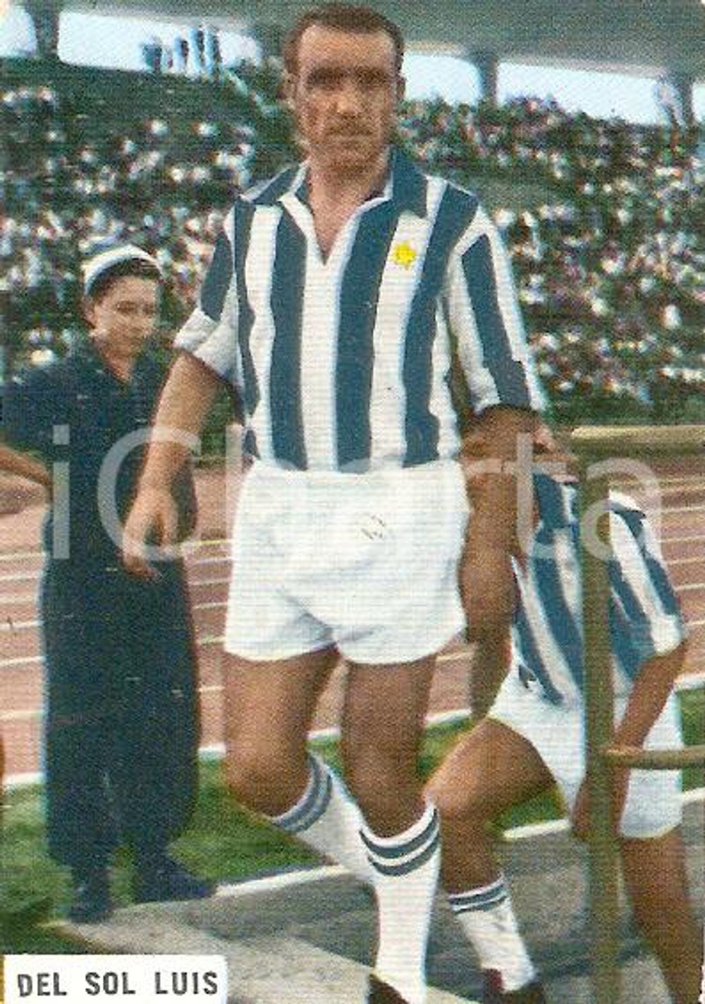 Oggetto da collezione cartaceo EDIZIONI FOTO CALCIO - CALCIATORI 1965-1966 Figurina Luis DEL SOL 111 JUVENTUS 1