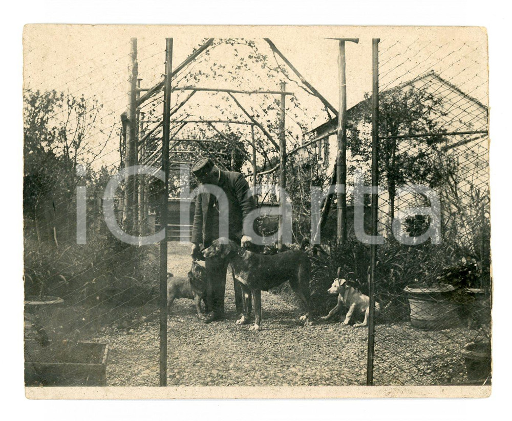 1930 ca CUSANO MILANINO Anziano con cani nel giardino di casa - Foto 10x8 cm Fotografia d'epoca, CONDIZIONI:FAIR/discreto Smussature agli angoli, piccola piegatura all'angolo inferiore destroFORMATO: 10x8 cm originale e autentica 1