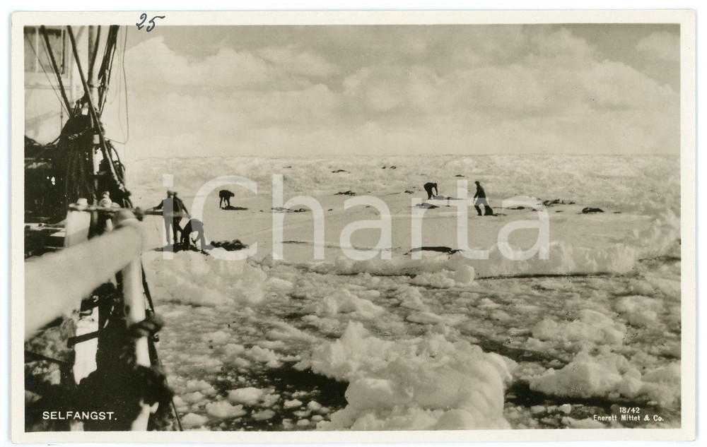 1900 ca NORWAY - SELFANGST Seal hunting - Postcard FP NV  Cartolina postale d'epoca, non viaggiata.EDITORE: Enerett Mittet & Co. CONDIZIONI:FAIR/discreto Lievi smussature agli angoliFORMATO: 9x14 cm originale e autentica 1