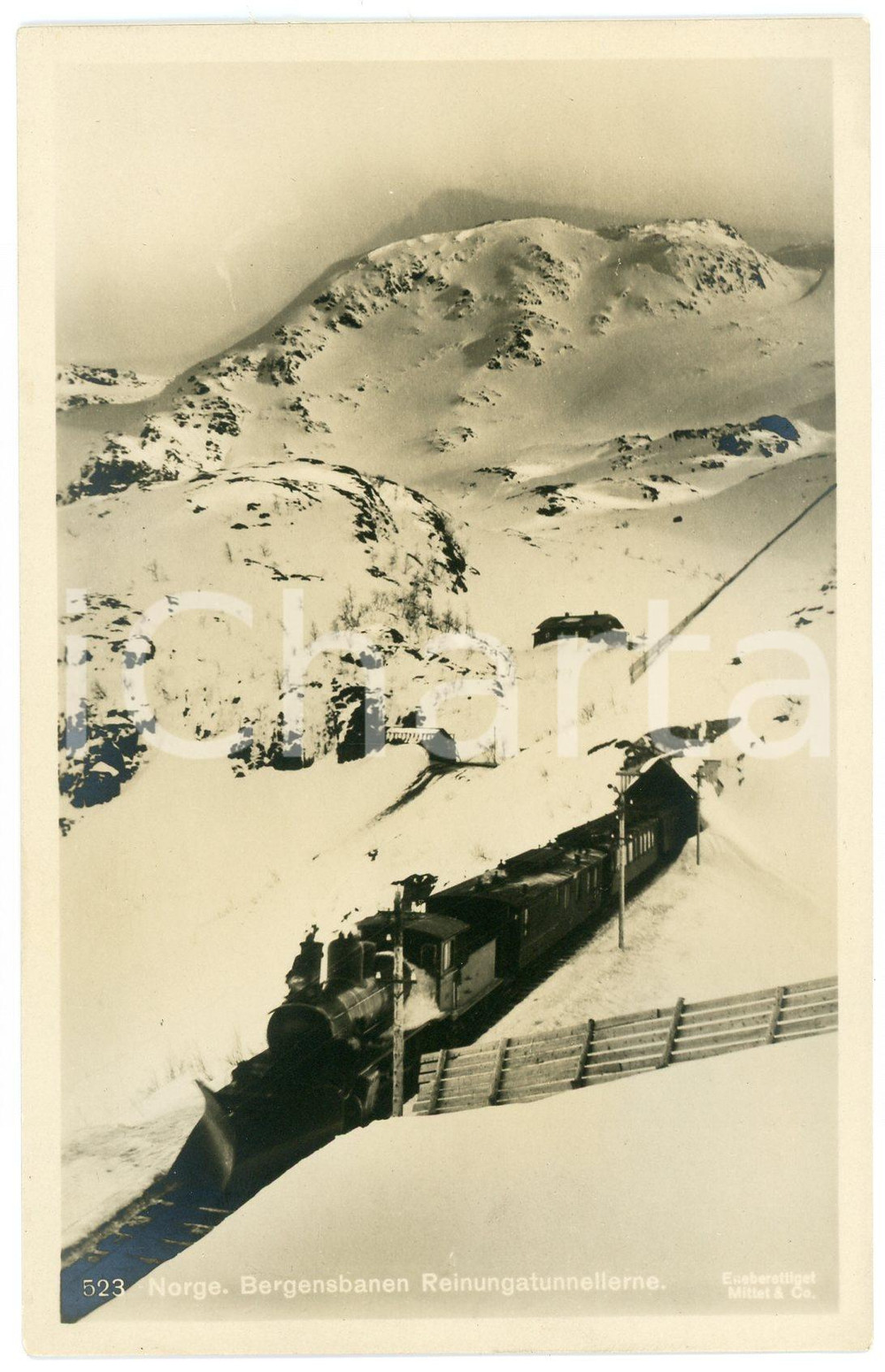 1910 ca  NORWAY - BERGENSBANEN Reinunga Tunnellerne - Postcard FP NV  Cartolina postale d'epoca, non viaggiata. CONDIZIONI:FAIR/discreto Lievi smussature agli angoliFORMATO: 9x14 cm originale e autentica 1