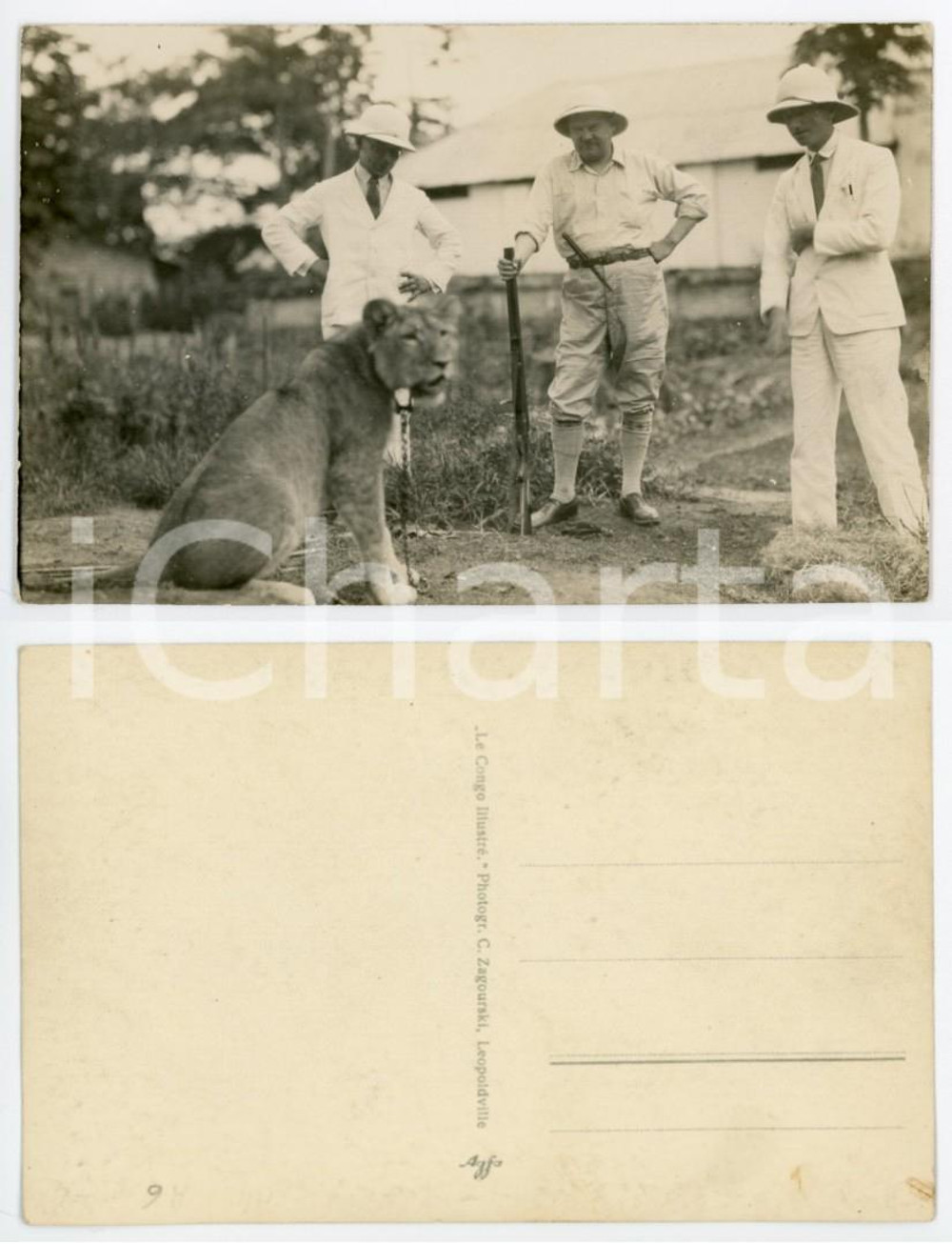 1930 ca C. ZAGOURSKI «Le Congo Illustré» Cacciatori con leone *Postcard  Fotocartolina postale originale d'epoca, appartenente alla serie «Le Congo illustré» del fotografo Casimir Zagourski (Léopoldville). CONDIZIONI:FAIR/discreto lievi graffiFORMATO: 9x14 cm originale e autentica 1