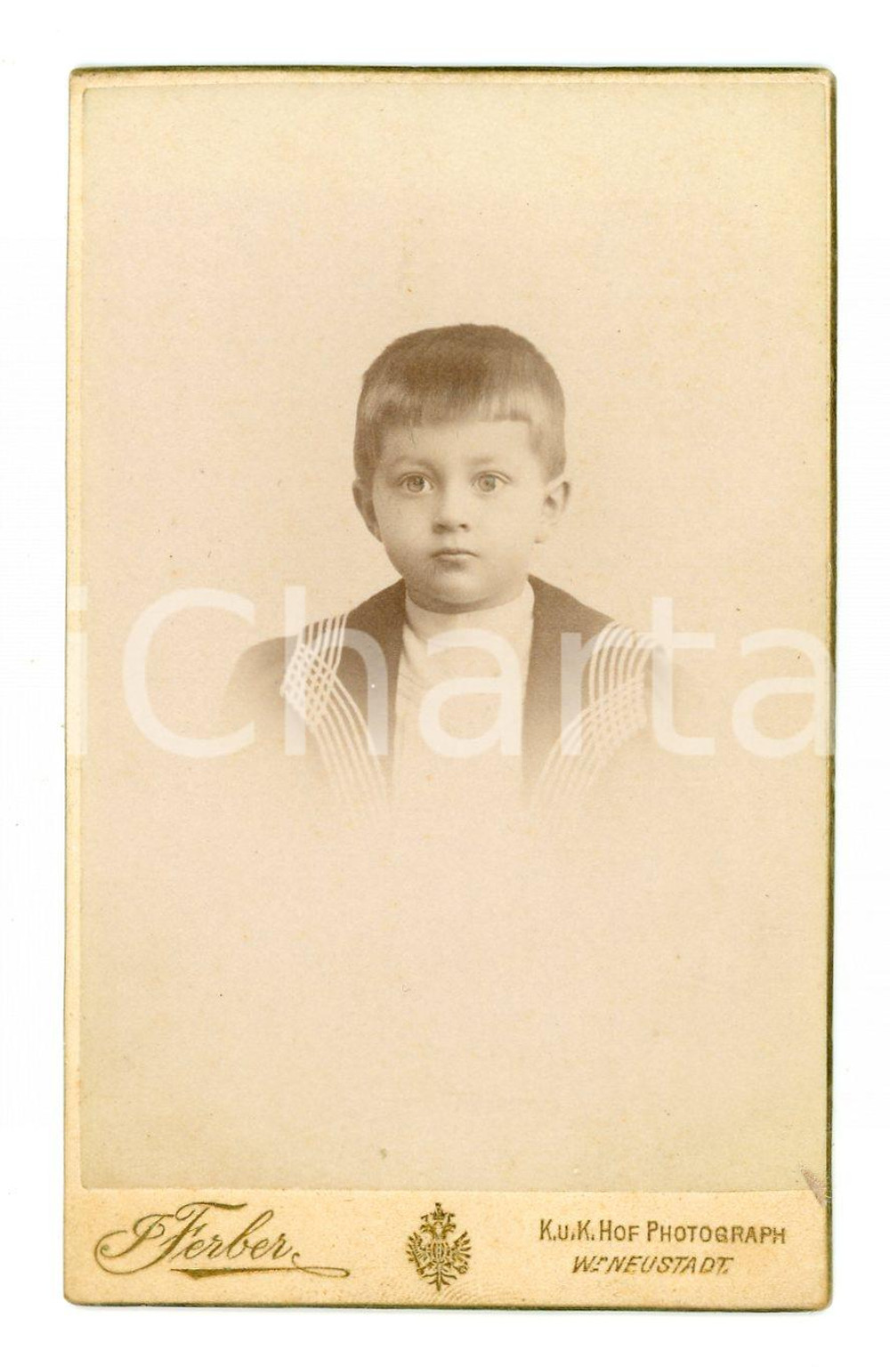 1901 WIENER NEUSTADT Irene URBAUER Portrait CDV - Photo Josef FARBER 6x10 cm  Fotografia d'epoca, montata su cartoncino rigido. CONDIZIONI:FAIR/discreto Lievi bruniture, strappi alla velinaFORMATO: 6x10 cm originale e autentica 1