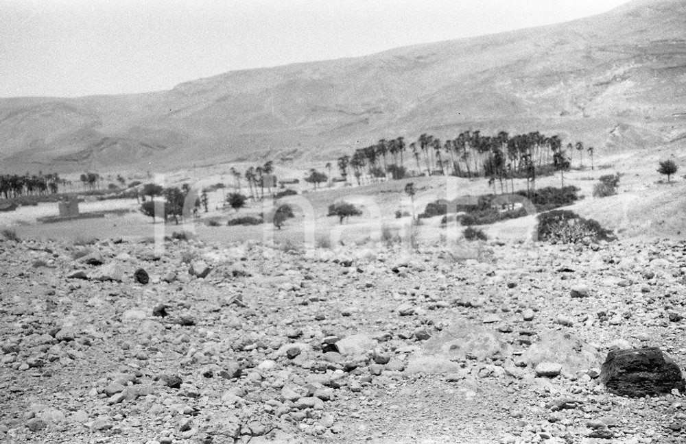Fotografia d epoca originale 1920? AFRICA HAMPTON WILDMAN PARKER S EXPEDITION Negativo originale 2 1