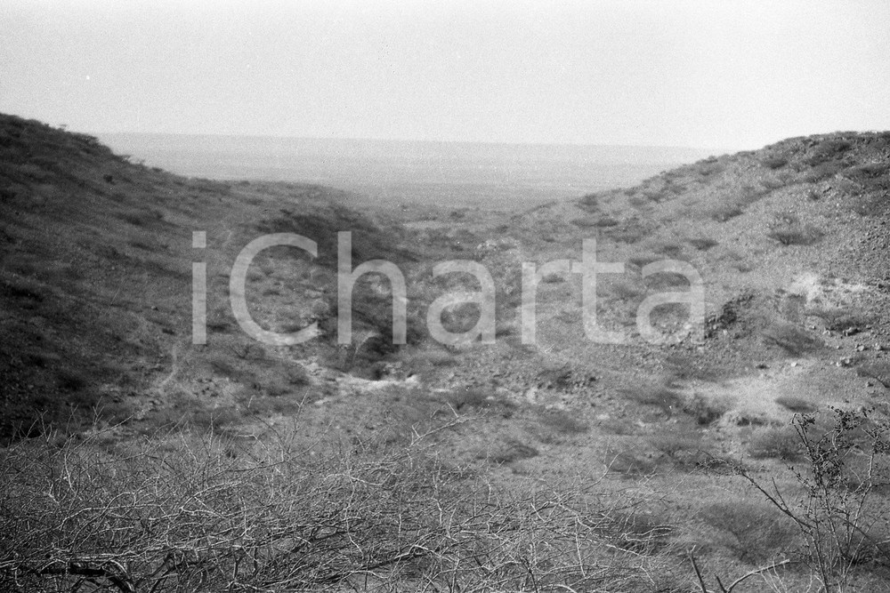 Fotografia d epoca originale 1920? AFRICA HAMPTON WILDMAN PARKER S EXPEDITION Negativo originale 3 1