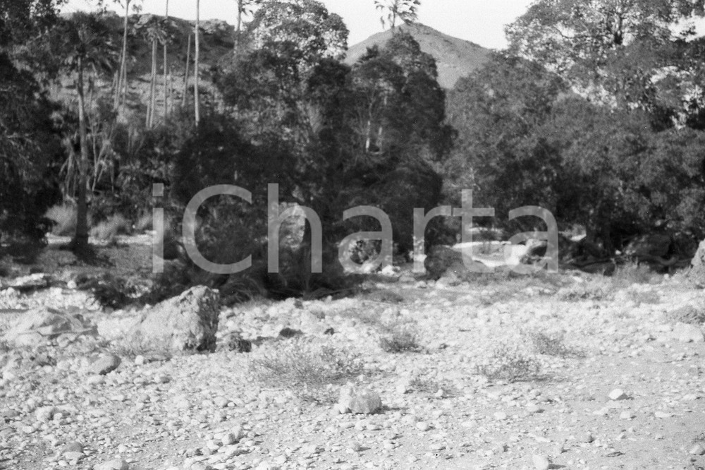 Fotografia d epoca originale 1920? AFRICA HAMPTON WILDMAN PARKER S EXPEDITION Negativo originale 5 1