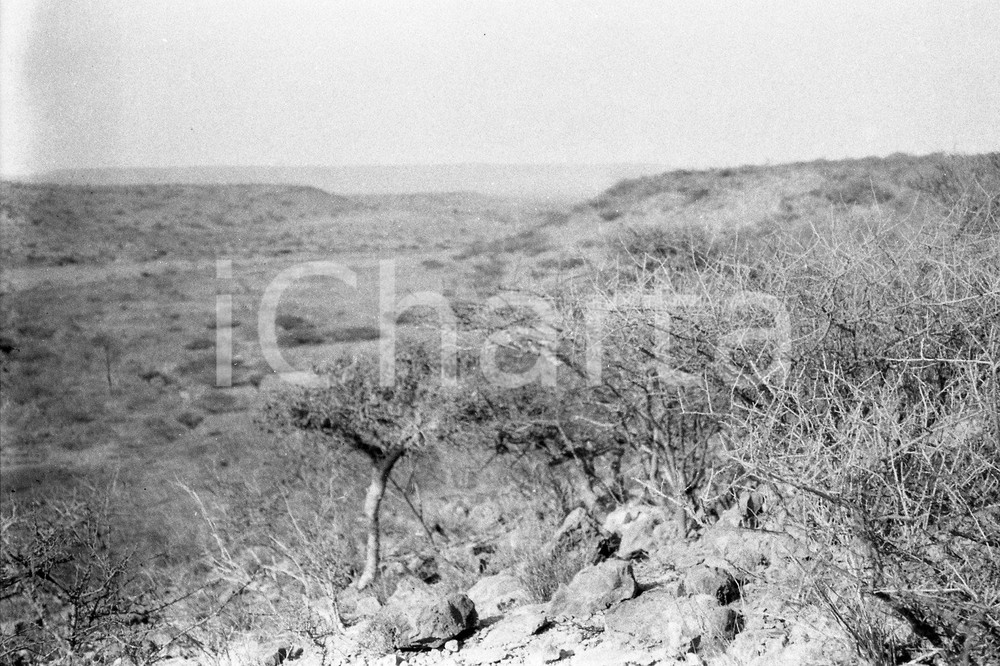 Fotografia d epoca originale 1920? AFRICA HAMPTON WILDMAN PARKER S EXPEDITION Negativo originale 7 1