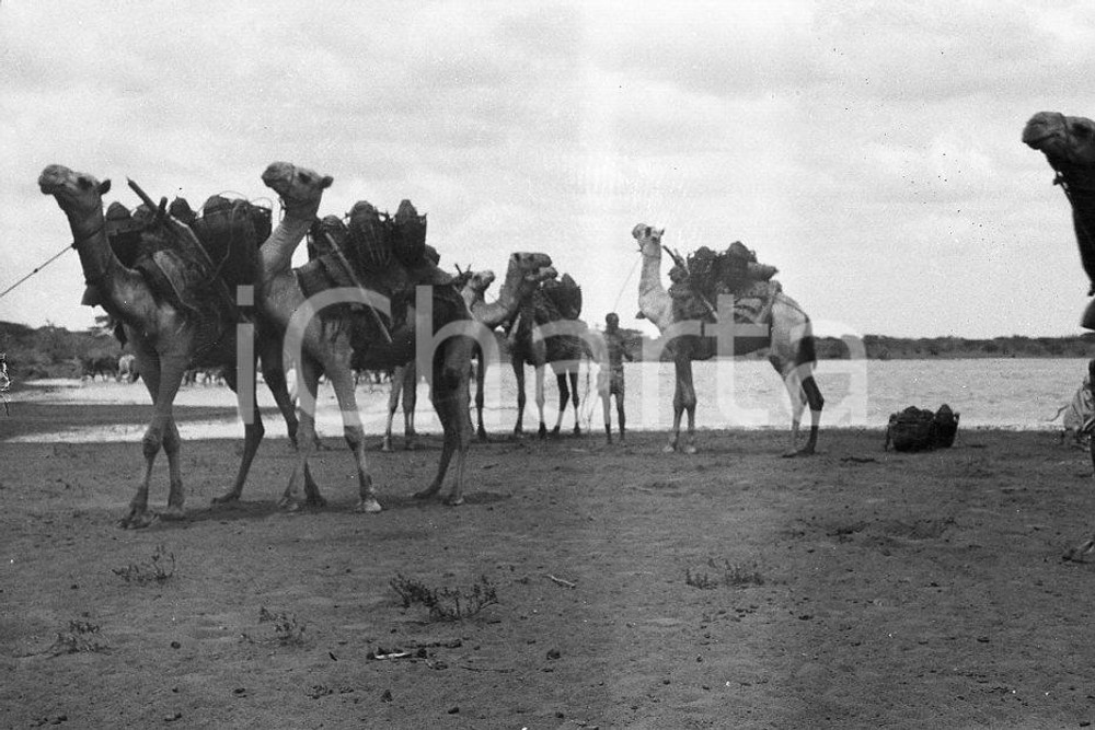 Fotografia d epoca originale 1920? AFRICA HAMPTON WILDMAN PARKER S EXPEDITION Negativo originale 9 1