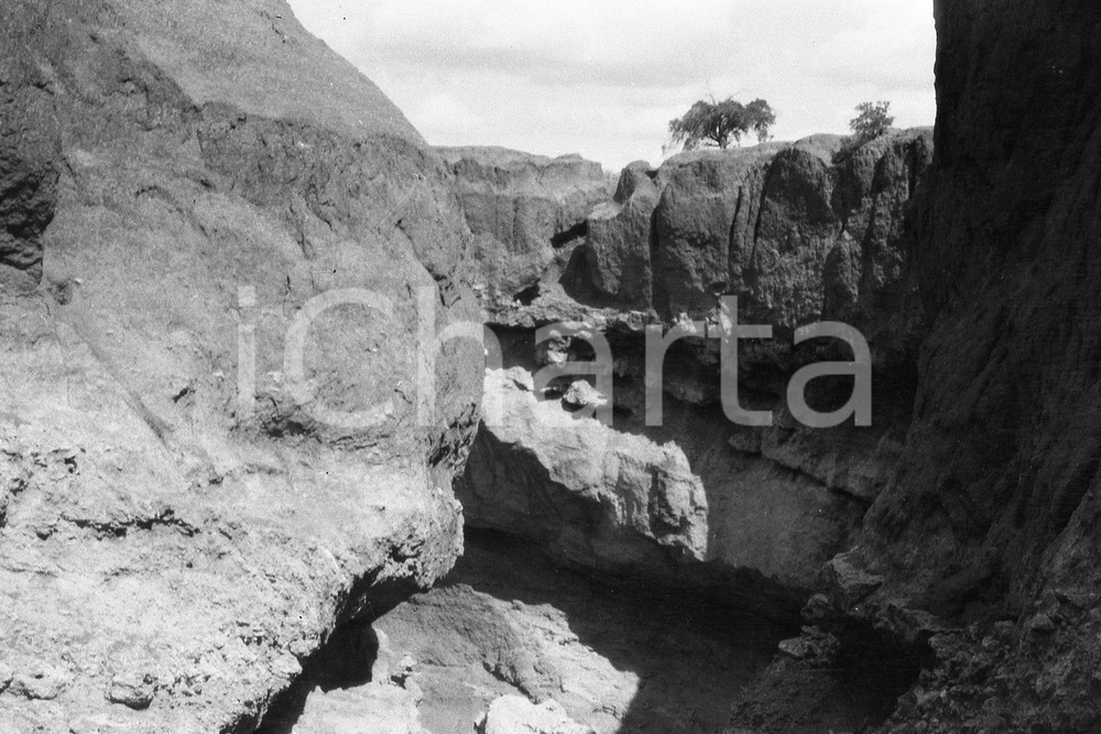 Fotografia d epoca originale 1920? AFRICA HAMPTON WILDMAN PARKER S EXPEDITION Negativo originale 13 1