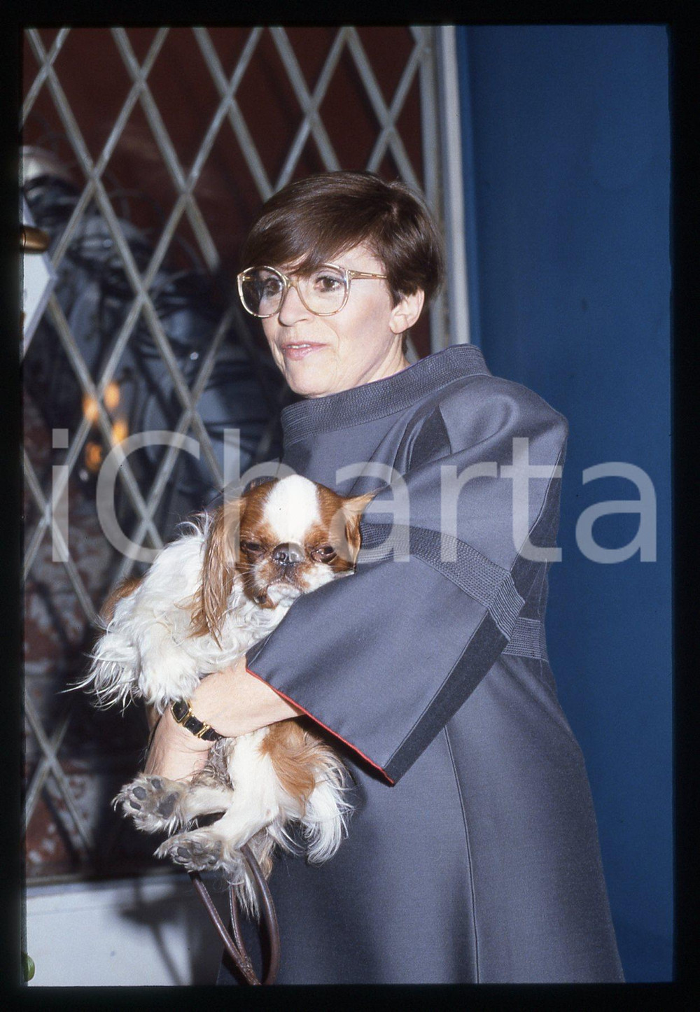 35mm vintage slide* 1995ca SPETTACOLO Franca VALERI Ritratto con cane (2)  Diapositiva d'epoca, in formato 35 mm.                                                                       CONDIZIONI: GOODE' severamente vietata la riproduzione. Tutti i diritti sono riservati. ICharta mette in vendita, sul negozio eBay e in esclusiva sul sito "icharta" il proprio archivio composto da numerose diapositive e negativi fotografici d'epoca, tutti originali e autentici, che attraversano la storia del costume italiano tra gli la fine degli anni Sessanta e Novanta.Si tratta di uno sguardo inedito sull'attualit&agrave;, la politica, la vita quotidiana, il gossip e la cultura, che fotografa il cambiamento della nazione in quest'ultimo scorcio del XX secolo. Un'occasione unica per il mercato del collezionismo, che vede finalmente disponibile un archivio eccezionale per vastit&agrave;, tematiche e condizioni, in un settore (il negativo fotografico e la diapositiva) di assoluta novit&agrave; e dalle interessanti prospettive di investimento.  originale e autentica 1
