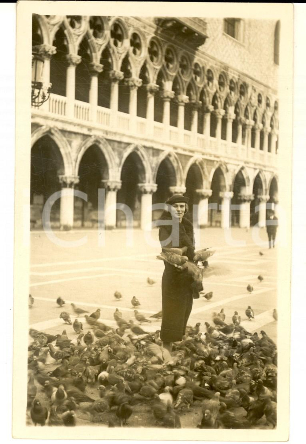 1930 ca VENEZIA Ritratto di donna tra i piccioni in piazza San Marco *Foto   Fotografia d'epoca, in formato cartolina postale. CONDIZIONI: G    originale e autentica 1