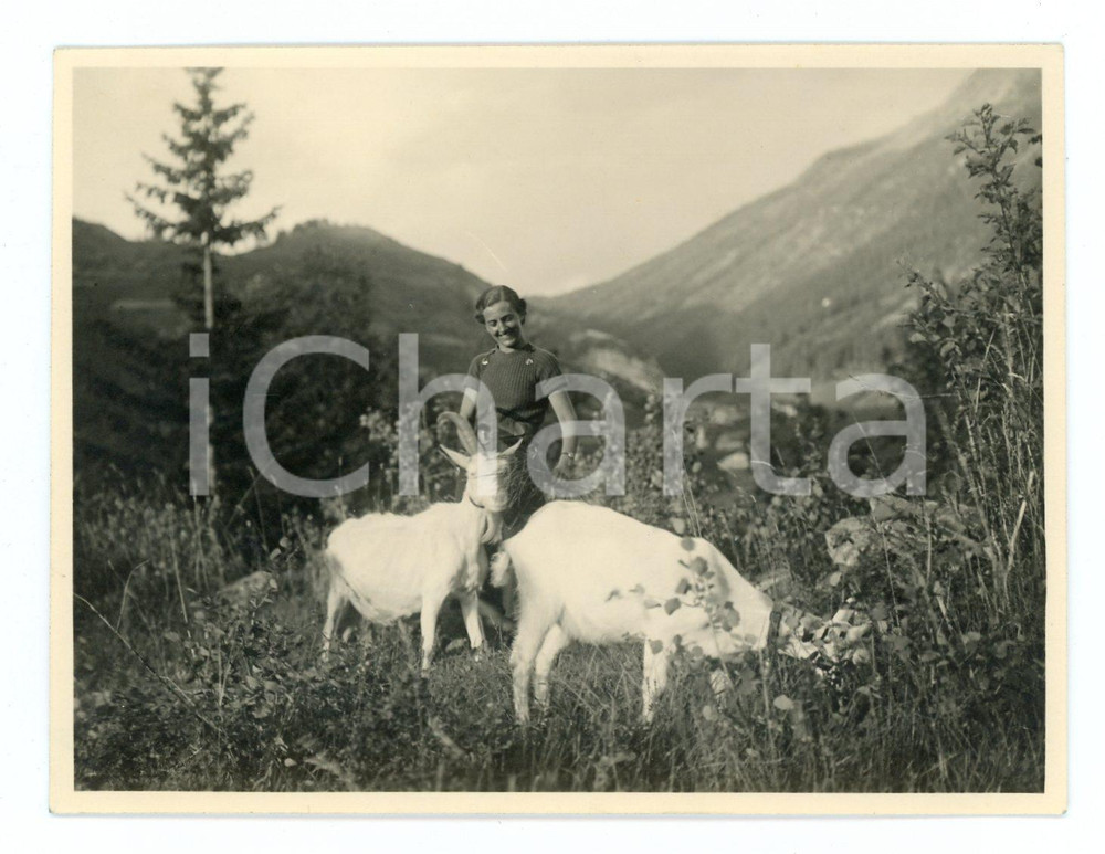 1937 LA THUILE Donna al pascolo con due capre - Foto 11x8 cm  Fotografia d'epoca con didascalia al verso. CONDIZIONI:FAIR/discreto Lievi smussature agli angoliFORMATO: 11x8 cm originale e autentica 1