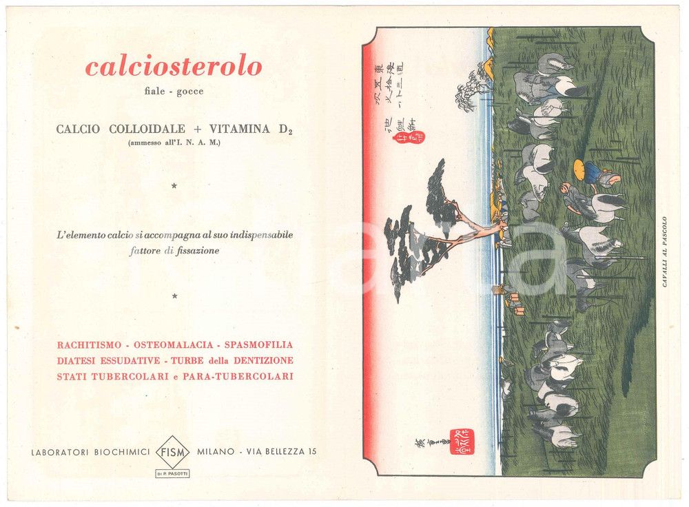 Materiale pubblicitario d’epoca 1954 MILANO Lab. chimici FISM Calciosterolo fosforato  Pieghevole 1 1