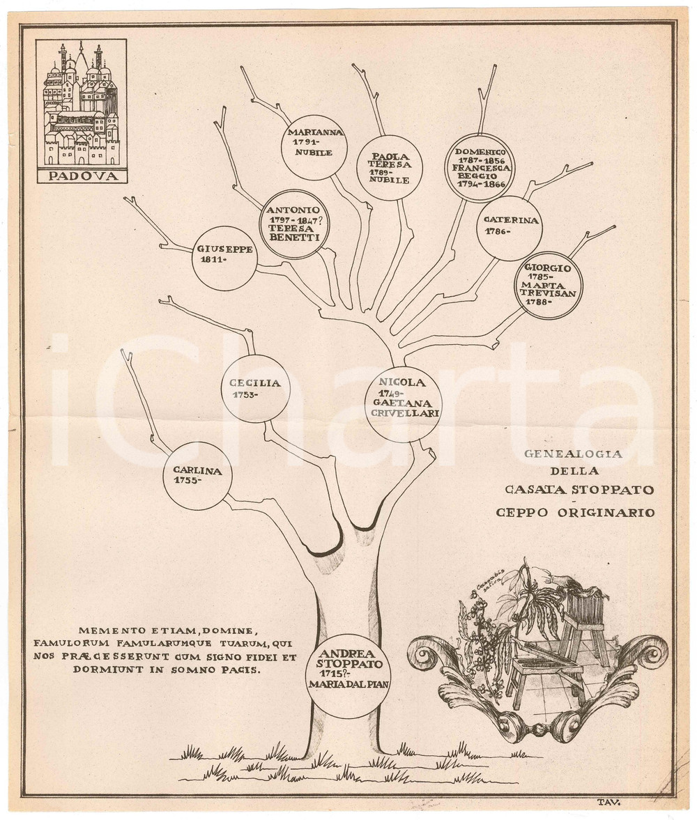 Stampa, bozzetto originale 1970 ca PADOVA Famiglia STOPPATO  Albero genealogico ceppo originario 1