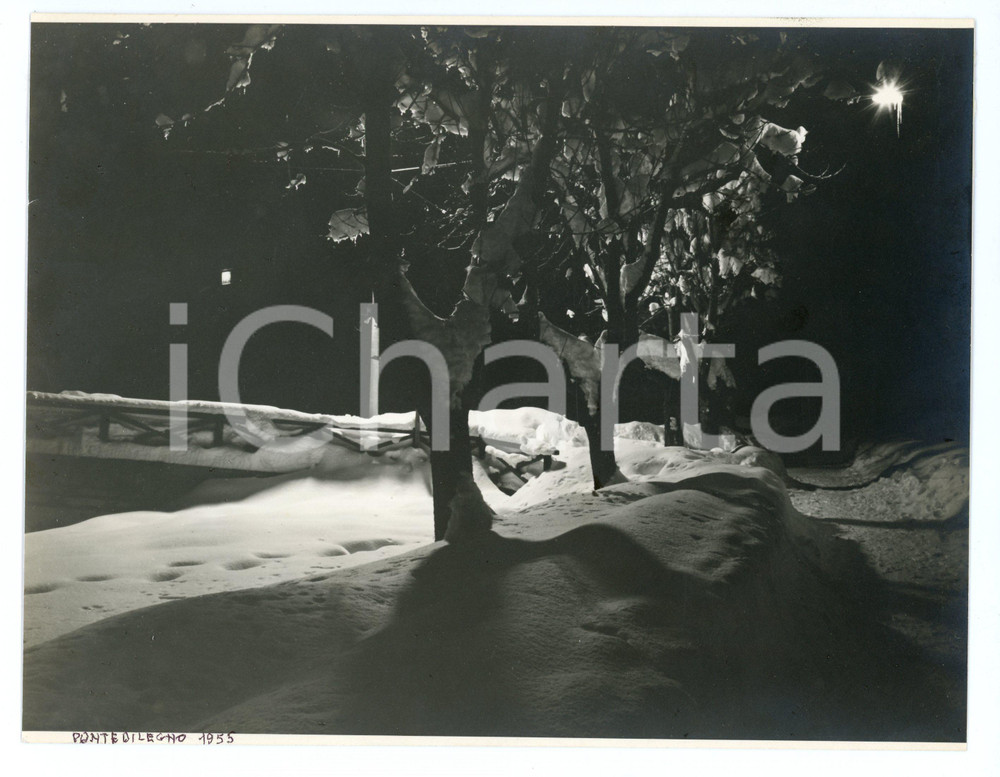1955 PONTE DI LEGNO (BS) Veduta notturna con alberi innevati - Foto 22x17 cm Fotografia di agenzia. CONDIZIONI:POOR/danneggiato Residui di incollatura e colla al versoFORMATO: 22x17 cm originale e autentica 1