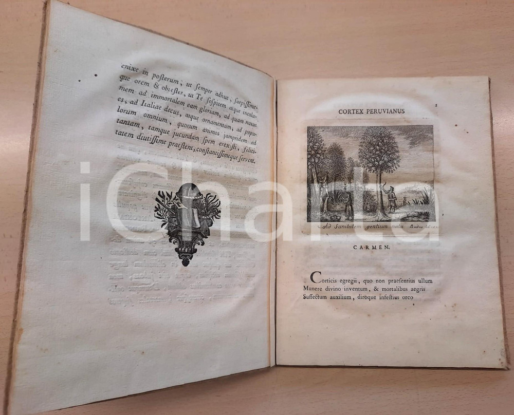1773 Giovanni Bernardo VIGO Cortex Peruvianus *Typographia Regia Volume originale d'epoca, con copertina cartonata flessibile rivestita in carta. Titolo manoscritto al dorso.Vignetta incisa su rame al titolo con leoni rampanti sorreggenti lo stemma del dedicatario, il principe Principe Carlo Emanuele Ferdinando, futuro Re di Sardegna col nome di Carlo Emanuele IV. Alla p. 1, un'incisione calcografica a mezza pagina con scritta Ad sanitatem gentium nata con raffigurazione degli alberi da cui si ricava la corteccia peruviana e del modo impiegato dagli indigeni per scortecciarli. Una tavola calcografica a p. pag. in fine con raffigurazione della pianta da cui si ottiene la china peruviana.Prima e unica edizione, rara, di questo carme didascalico latino dedicato alla corteccia di china peruviana e alle sue proprietà medicamentose.PAGINE: 58EDITORE: Torino, ex Typographia Regia  CONDIZIONI:GOOD/buono qualche piccola fioritura, tarlatura alle prime pagine, lievi macchie di umidità, lievi tracce d'uso in copertinaFORMATO: 18x23 cm originale e autentica 1