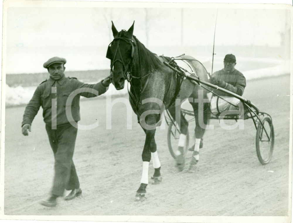 Fotografia d epoca originale 1935 MILANO Cavallo AULO GELLIO rientra al peso con sulky Foto DANNEGGIATA 1