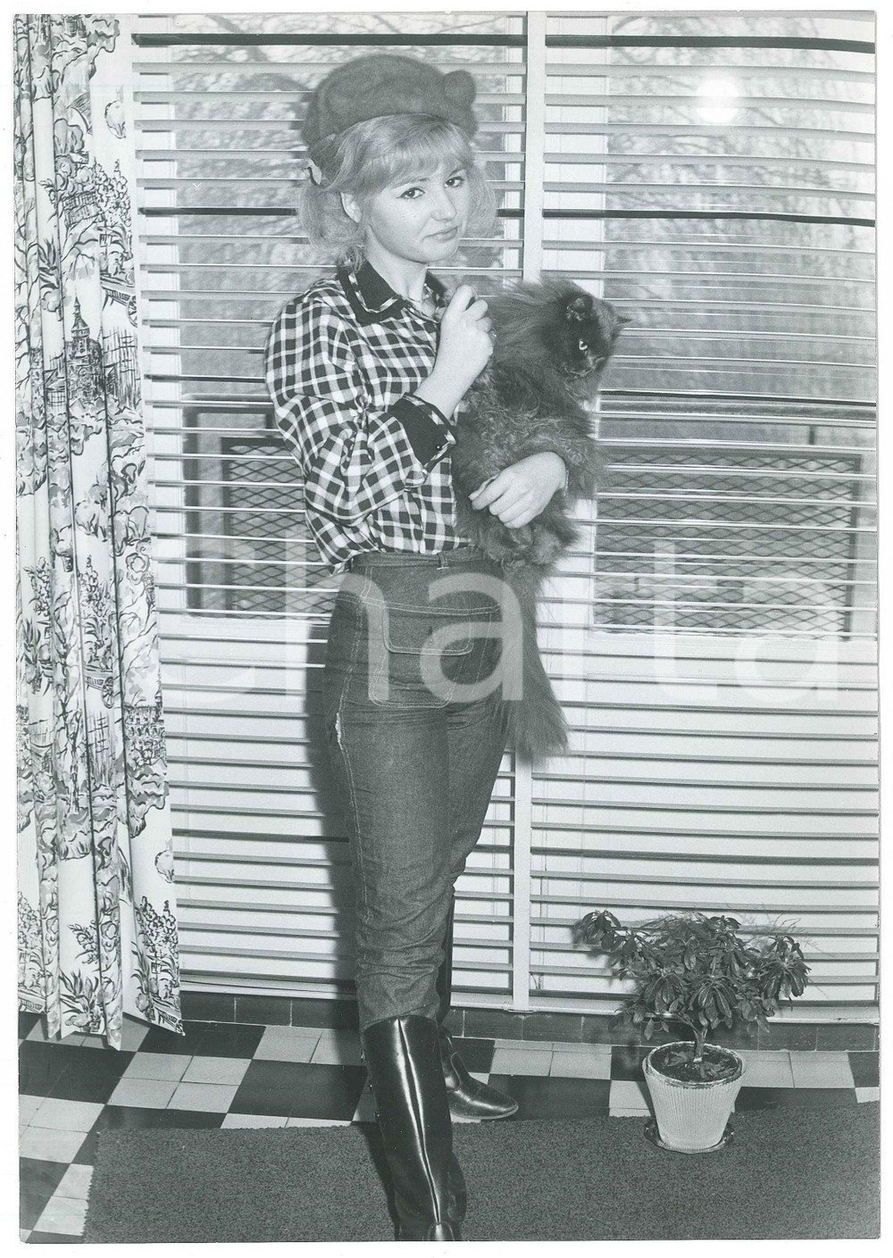 Fotografia d epoca originale 1960 ca FRANCE Chanteuse PEGGY Evelyn LESOURD avec son chat  Photo 1