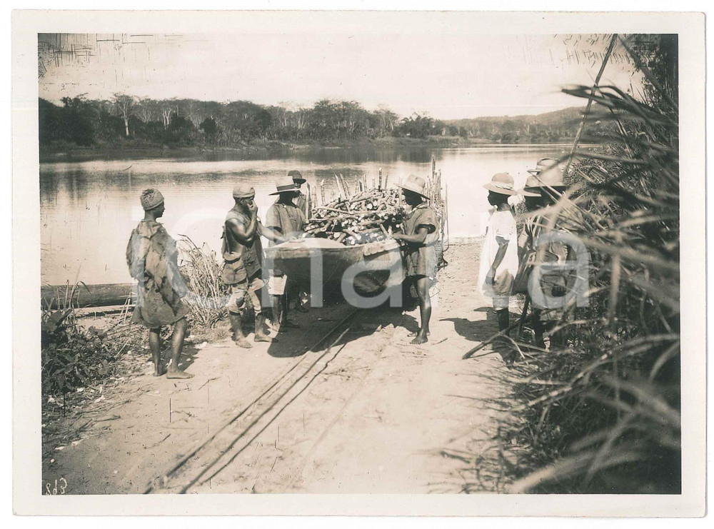 Fotografia d epoca originale 1935 ca MADAGASCAR Trasporto della canna da zucchero  Fotografia 18x13 cm 1