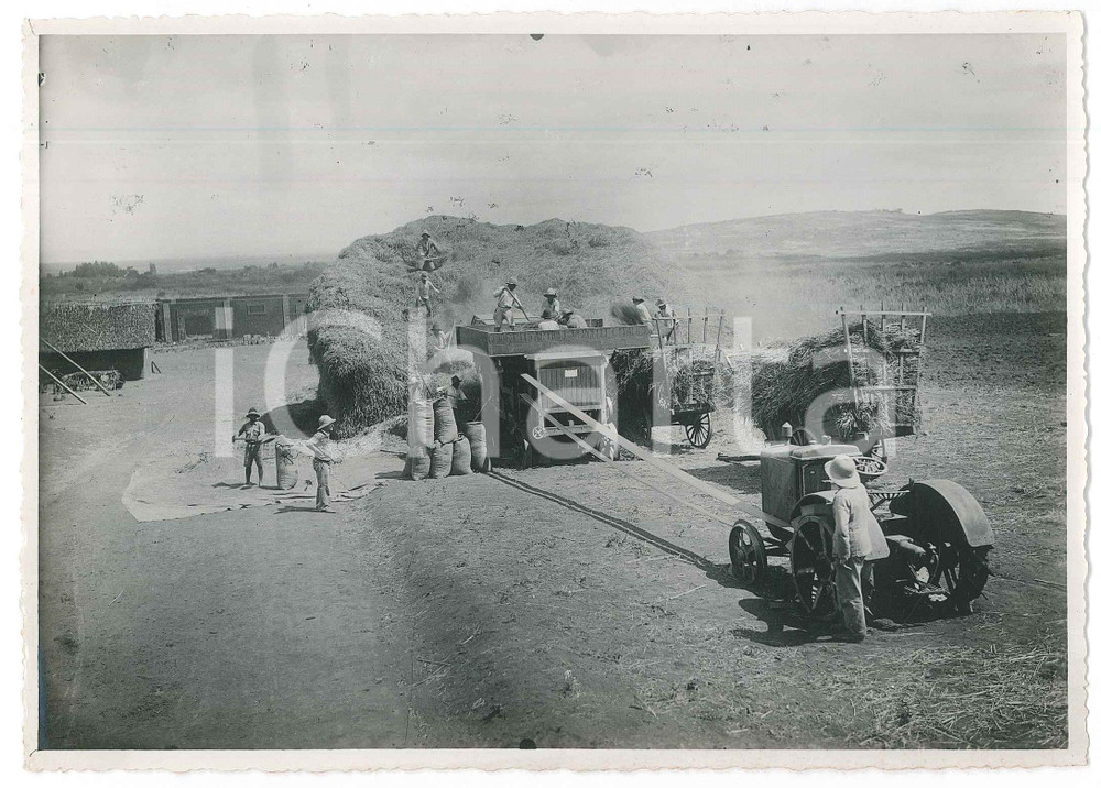 Fotografia d epoca originale 1935 ca MADAGASCAR  RISICOLTURA  Lavoro con macchina GUIDETTI e ARTIOLI Foto 1
