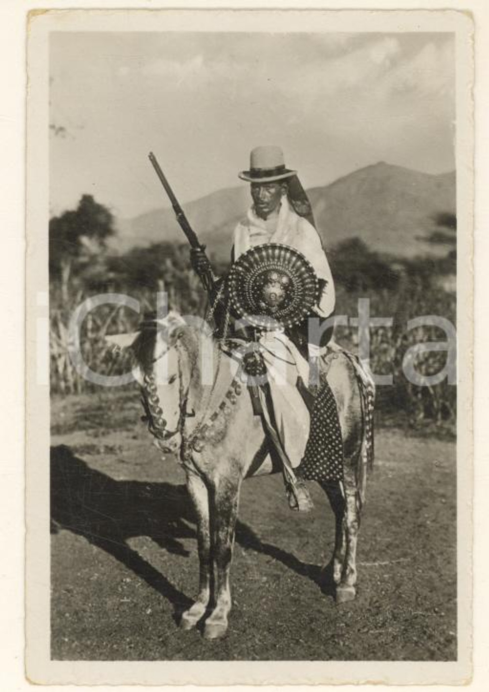 Fotografia d'epoca originale 1935 MASSAUA ERITREA Guerriero abissino a cavallo con fucile e scudo *Foto 6x9 1