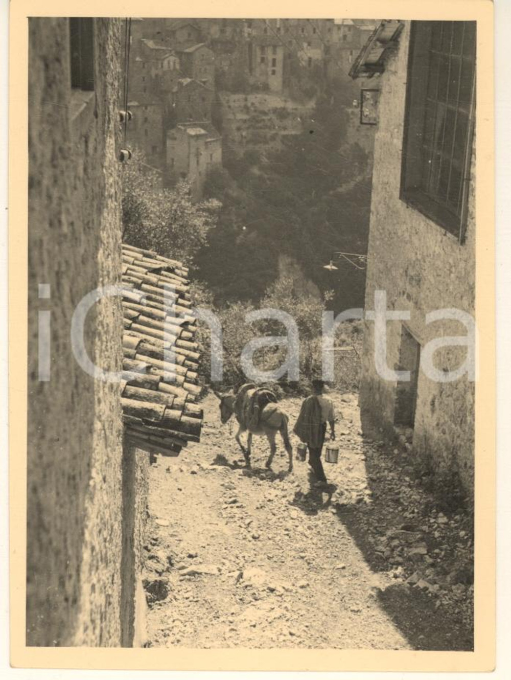 Fotografia d epoca originale 1960 ca COSTUME  ANTICOLI CORRADO RM Operaio con mulo Foto 8x12 cm 1