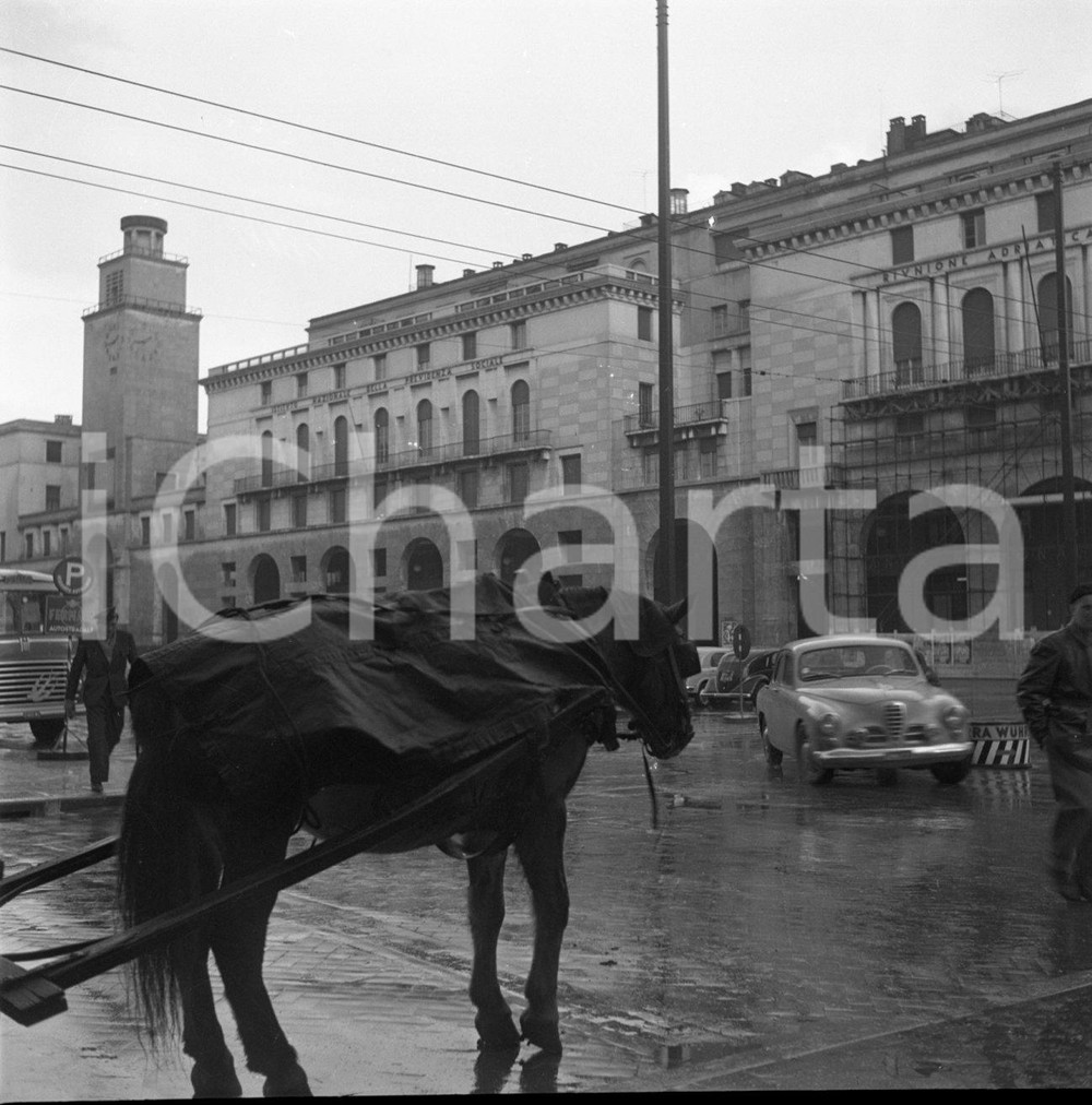 1954 BRESCIA cavallo con carretto in p.za della Vittoria NEGATIVO ORIGINALE Negativo originale in bianco e nero su pellicola.  E' SEVERAMENTE VIETATA LA RIPRODUZIONE.TUTTI I DIRITTI SONO RISERVATI.ICharta mette in vendita, sul negozio eBay e in esclusiva sul sito "icharta" il proprio archivio composto da numerose diapositive e negativi fotografici d'epoca, tutti originali e autentici.Si tratta di uno sguardo inedito sull'attualità, la politica, la vita quotidiana, il gossip e la cultura, che fotografa il cambiamento della nazione (e non solo) tra il 1890 ed il 1990 circa. Un'occasione unica per il mercato del collezionismo, che vede finalmente disponibile un archivio eccezionale per vastità, tematiche e condizioni, in un settore (il negativo fotografico e la diapositiva) di assoluta novità e dalle interessanti prospettive di investimento. CONDIZIONI:FAIR/discretoFORMATO: cm 6 x 6 originale e autentica 1