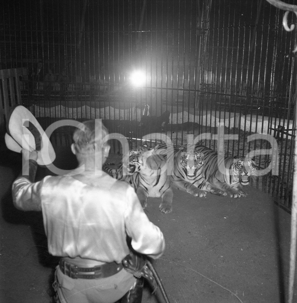 1953 BRESCIA domatore Circo TOGNI nella gabbia con le tigri NEGATIVO ORIGINALE 1 Nel negativo il Circo Darix TogniNegativo originale in bianco e nero su pellicola.  E' SEVERAMENTE VIETATA LA RIPRODUZIONE.TUTTI I DIRITTI SONO RISERVATI.ICharta mette in vendita, sul negozio eBay e in esclusiva sul sito "icharta" il proprio archivio composto da numerose diapositive e negativi fotografici d'epoca, tutti originali e autentici.Si tratta di uno sguardo inedito sull'attualità, la politica, la vita quotidiana, il gossip e la cultura, che fotografa il cambiamento della nazione (e non solo) tra il 1890 ed il 1990 circa. Un'occasione unica per il mercato del collezionismo, che vede finalmente disponibile un archivio eccezionale per vastità, tematiche e condizioni, in un settore (il negativo fotografico e la diapositiva) di assoluta novità e dalle interessanti prospettive di investimento. CONDIZIONI:FAIR/discretoFORMATO: cm 6 x 6 originale e autentica 1