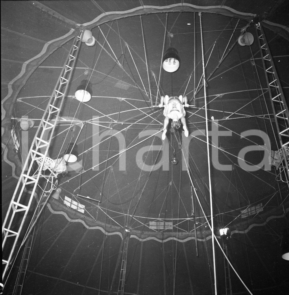 1953 BRESCIA esibizione dei trapezisti sotto il tendone NEGATIVO ORIGINALE Nel negativo il Circo Darix TogniNegativo originale in bianco e nero su pellicola.  E' SEVERAMENTE VIETATA LA RIPRODUZIONE.TUTTI I DIRITTI SONO RISERVATI.ICharta mette in vendita, sul negozio eBay e in esclusiva sul sito "icharta" il proprio archivio composto da numerose diapositive e negativi fotografici d'epoca, tutti originali e autentici.Si tratta di uno sguardo inedito sull'attualità, la politica, la vita quotidiana, il gossip e la cultura, che fotografa il cambiamento della nazione (e non solo) tra il 1890 ed il 1990 circa. Un'occasione unica per il mercato del collezionismo, che vede finalmente disponibile un archivio eccezionale per vastità, tematiche e condizioni, in un settore (il negativo fotografico e la diapositiva) di assoluta novità e dalle interessanti prospettive di investimento. CONDIZIONI:FAIR/discretoFORMATO: cm 6 x 6 originale e autentica 1
