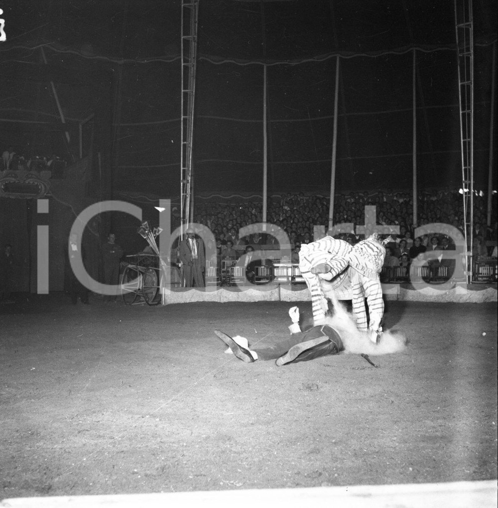 1953 BRESCIA clowns del Circo Darix Togni *NEGATIVO ORIGINALE Negativo originale in bianco e nero su pellicola.  E' SEVERAMENTE VIETATA LA RIPRODUZIONE.TUTTI I DIRITTI SONO RISERVATI.ICharta mette in vendita, sul negozio eBay e in esclusiva sul sito "icharta" il proprio archivio composto da numerose diapositive e negativi fotografici d'epoca, tutti originali e autentici.Si tratta di uno sguardo inedito sull'attualità, la politica, la vita quotidiana, il gossip e la cultura, che fotografa il cambiamento della nazione (e non solo) tra il 1890 ed il 1990 circa. Un'occasione unica per il mercato del collezionismo, che vede finalmente disponibile un archivio eccezionale per vastità, tematiche e condizioni, in un settore (il negativo fotografico e la diapositiva) di assoluta novità e dalle interessanti prospettive di investimento. CONDIZIONI:FAIR/discretoFORMATO: cm 6 x 6 originale e autentica 1