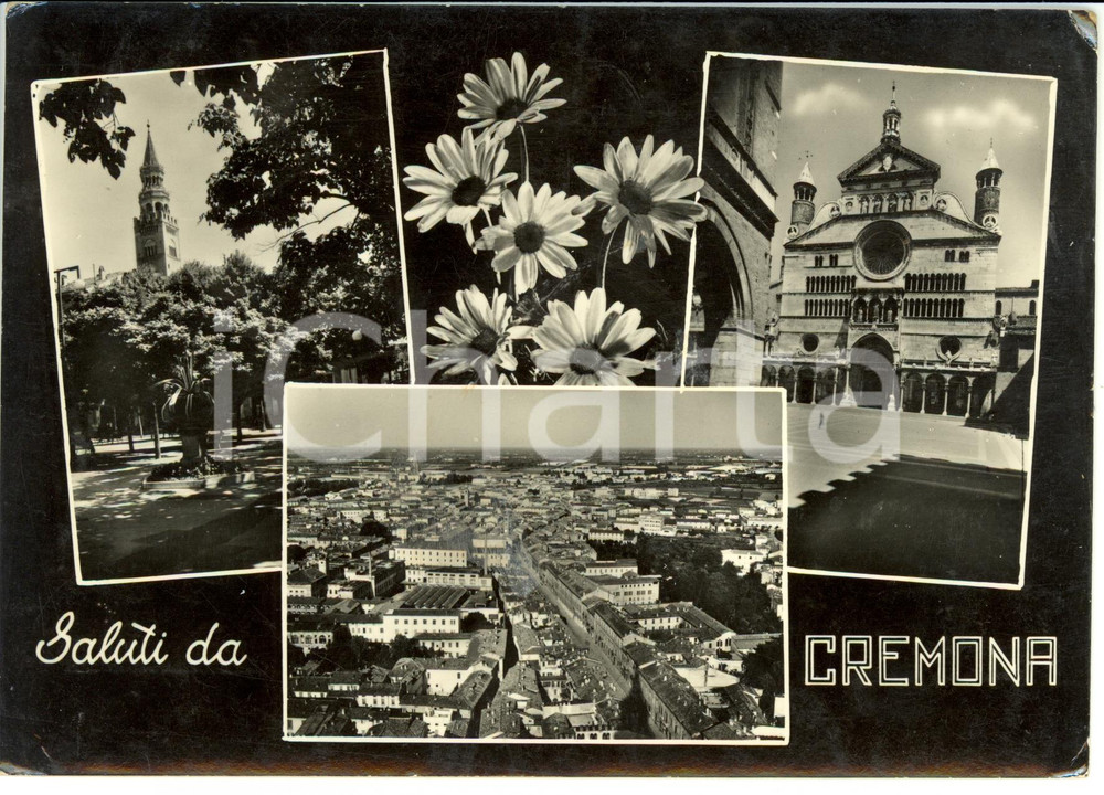 Cartolina originale da collezione 1956 CREMONA Vedutine della città Cartolina postale FG VG 1
