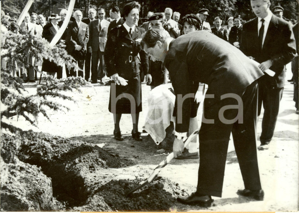 Fotografia d epoca originale 1959 BRUXELLES Principe Alberto pianta albero Centenario CROCE ROSSA Foto 1 1