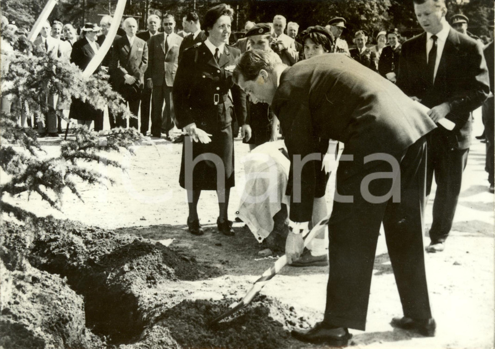 Fotografia d epoca originale 1959 BRUXELLES Principe Alberto pianta albero Centenario CROCE ROSSA Foto 3 1
