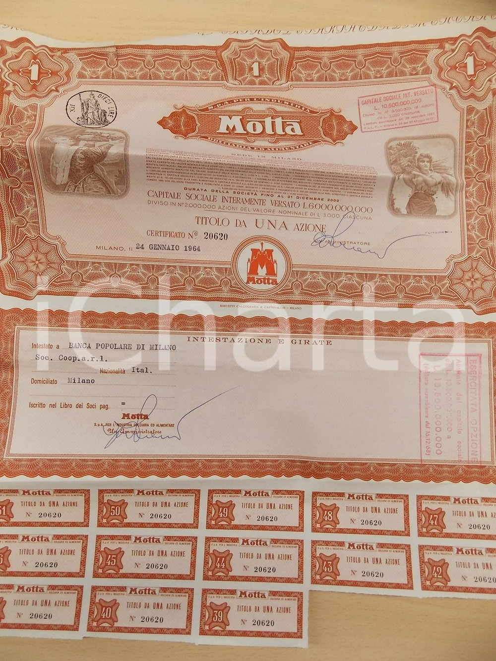 Oggetto da collezione cartaceo 1964 MILANO MOTTA dolciaria ed alimentare Titolo 1 azione con cedole 1