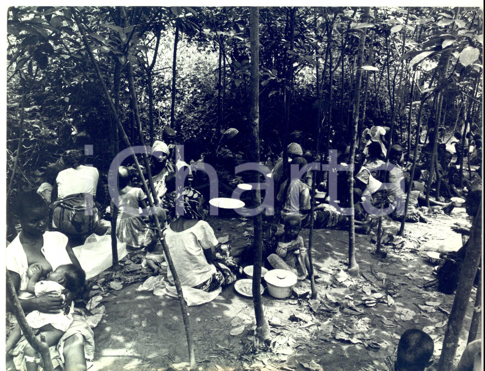 Fotografia d epoca originale 1968 GUERRA DEL BIAFRA Campo profughi nella piantagione di ULLONA Foto 1