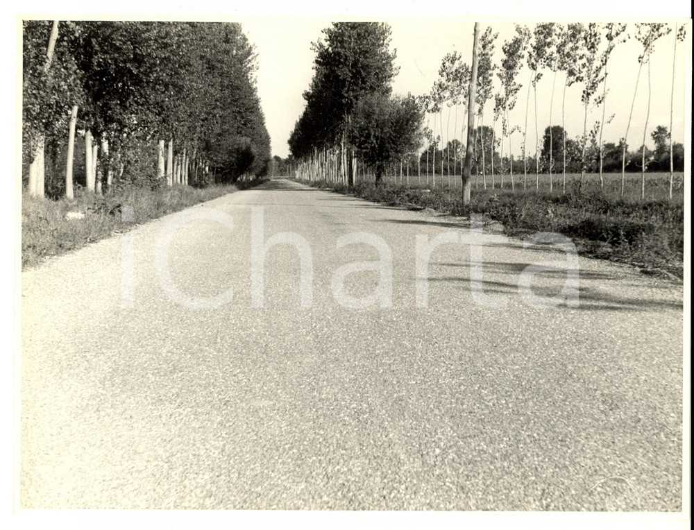 Fotografia d epoca originale 1950 ca SUARDI PV Veduta di una strada di campagna Foto artistica 1
