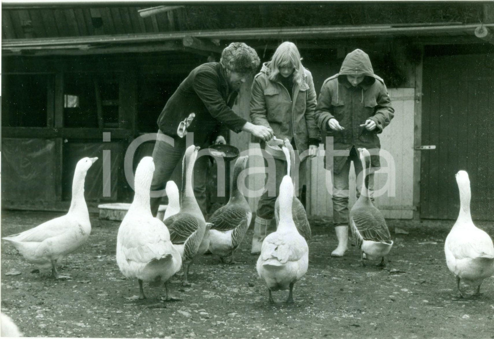 Fotografia d epoca originale 1981 SCHLOSS HAMBORN DE Alunni della WALDORFSCHULE nutrono le oche Foto 1