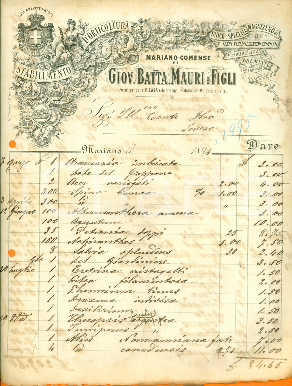 Documento originale, autentico 1894 MARIANO COMENSE Giovanni Battista MAURI & Figli botanici Real Casa Fattura 1