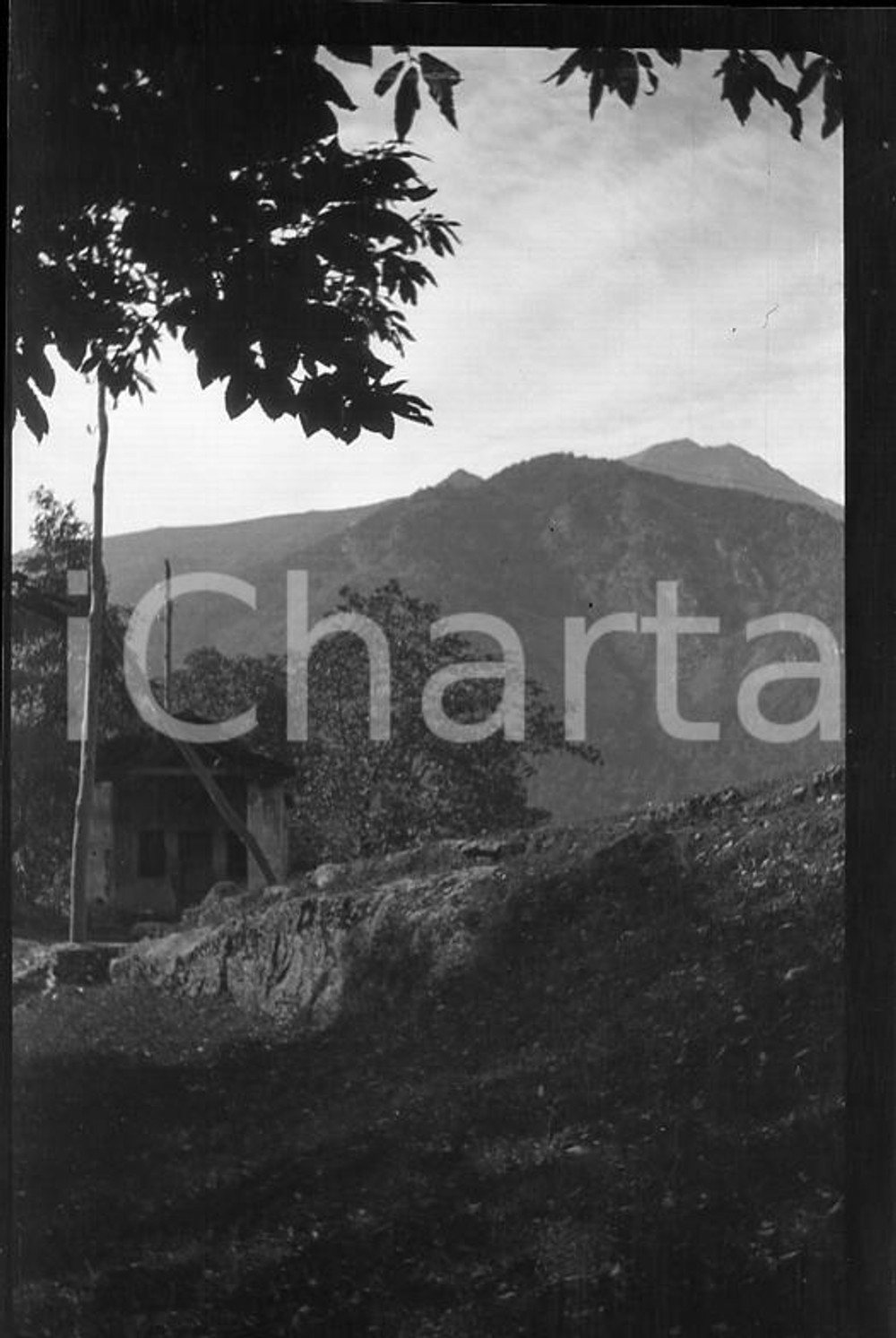 1922 PIEMONTE Valli di Lanzo, scorcio panoramico 3 *NEGATIVO ORIGINALE cm 6x4 Negativo originale in bianco e nero (su pellicola), in formato cm 6 x 4E' severamente vietata la riproduzione. Tutti i diritti sono riservati. ICharta mette in vendita, sul negozio eBay e in esclusiva sul sito "icharta" il proprio archivio composto da numerose diapositive e negativi fotografici d'epoca, tutti originali e autentici, che attraversano la storia del costume italiano tra gli la fine degli anni Sessanta e Novanta.Si tratta di uno sguardo inedito sull'attualità, la politica, la vita quotidiana, il gossip e la cultura, che fotografa il cambiamento della nazione in quest'ultimo scorcio del XX secolo. Un'occasione unica per il mercato del collezionismo, che vede finalmente disponibile un archivio eccezionale per vastità, tematiche e condizioni, in un settore (il negativo fotografico e la diapositiva) di assoluta novità e dalle interessanti prospettive di investimento. CONDIZIONI:FAIR/discretoFORMATO: cm 6 x 4 originale e autentica 1