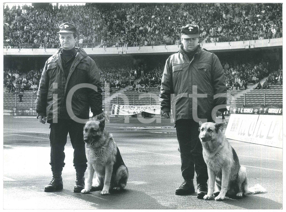 Fotografia d epoca originale 1980 ca TORINO Stadio Comunale  CARABINIERI  Unità cinofile  Foto 24x18 1