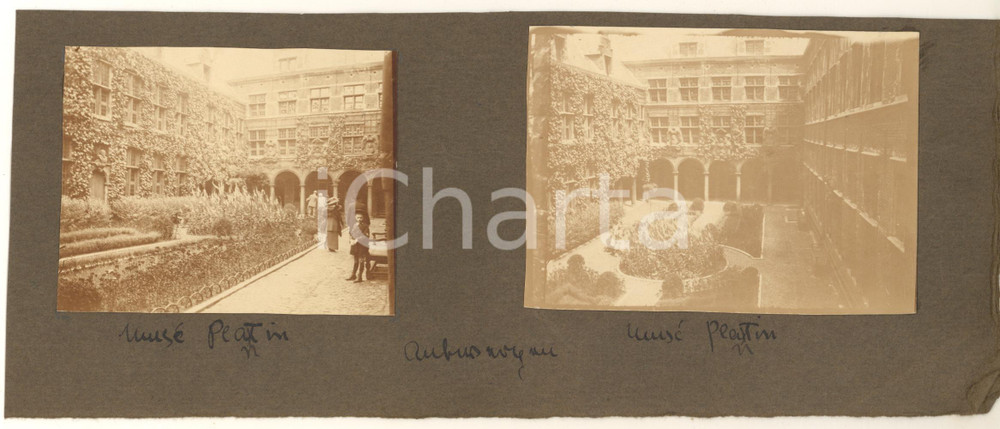 Fotografia d epoca originale 1913 ANVERSA Museo PLANTINMORETUS  Lotto 2 foto ANIMATE 12x8 cm 1
