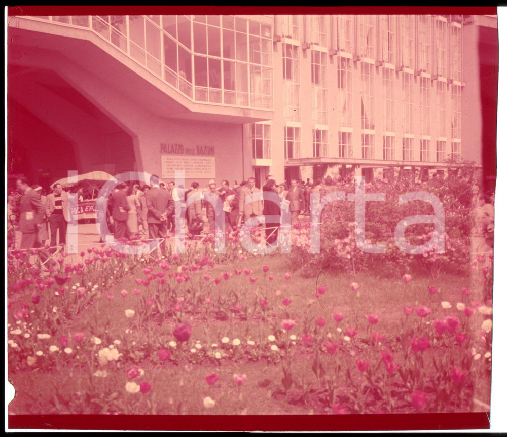 1952 MILANO ingresso alla Fiera Campionaria *DIAPOSITIVA ORIGINALE Positivo originale a colori, in formato cm 6 x 6.Per i diritti rivolgersi a ICharta.ICharta mette in vendita, sul negozio eBay e in esclusiva sul sito "icharta" il proprio archivio composto da numerose diapositive e negativi fotografici d'epoca, tutti originali e autentici.Si tratta di uno sguardo inedito sull'attualità, la politica, la vita quotidiana, il gossip e la cultura, che fotografa il cambiamento della nazione (e non solo) tra il 1890 ed il 1990 circa. Un'occasione unica per il mercato del collezionismo, che vede finalmente disponibile un archivio eccezionale per vastità, tematiche e condizioni, in un settore (il negativo fotografico e la diapositiva) di assoluta novità e dalle interessanti prospettive di investimento. CONDIZIONI:POOR/danneggiato Pellicola rozzamente rifilata e alterata dal tempo (virata al rosso)FORMATO: cm 6 x 6 originale e autentica 1