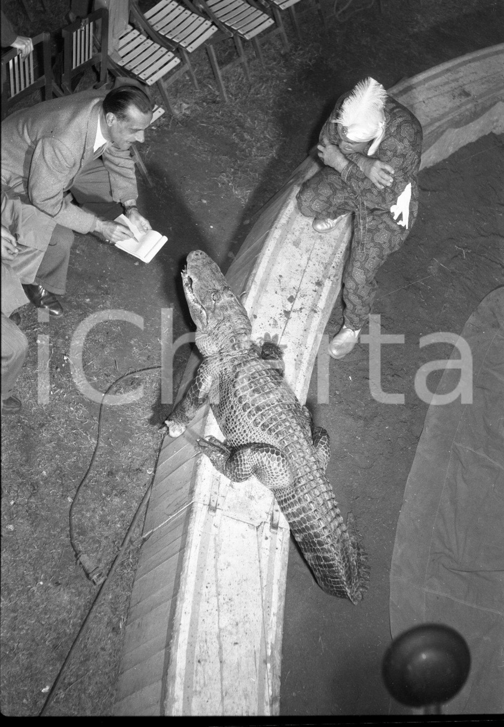 1953 BRESCIA CIRCO DARIX TOGNI Numero con coccodrillo NEGATIVO ORIGINALE 1 Negativo originale in bianco e nero su pellicola.  E' SEVERAMENTE VIETATA LA RIPRODUZIONE.TUTTI I DIRITTI SONO RISERVATI.ICharta mette in vendita, sul negozio eBay e in esclusiva sul sito "icharta" il proprio archivio composto da numerose diapositive e negativi fotografici d'epoca, tutti originali e autentici.Si tratta di uno sguardo inedito sull'attualità, la politica, la vita quotidiana, il gossip e la cultura, che fotografa il cambiamento della nazione (e non solo) tra il 1890 ed il 1990 circa. Un'occasione unica per il mercato del collezionismo, che vede finalmente disponibile un archivio eccezionale per vastità, tematiche e condizioni, in un settore (il negativo fotografico e la diapositiva) di assoluta novità e dalle interessanti prospettive di investimento. CONDIZIONI:FAIR/discretoFORMATO: cm 6 x 9 originale e autentica 1